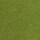 Colour Green selected