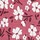 Color Rosa seleccionado