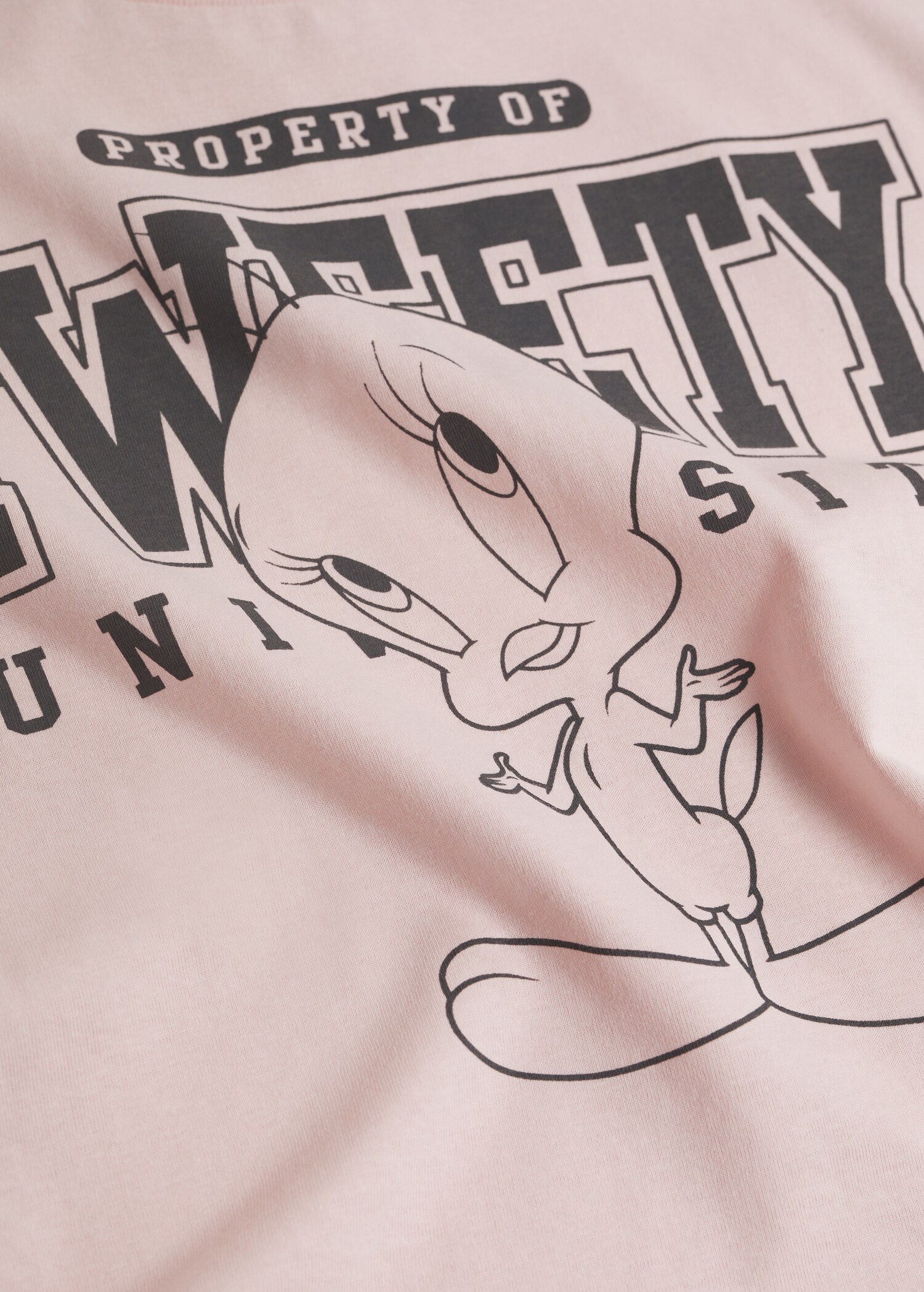 Camiseta Piolín  - Detalle del artículo 8