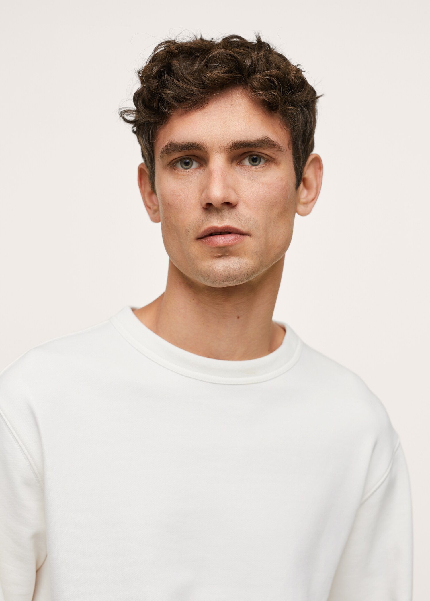 Basic-Baumwollsweatshirt - Detail des Artikels 1