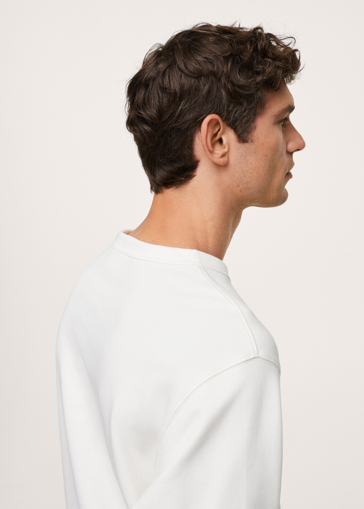 Basic-Baumwollsweatshirt - Detail des Artikels 2