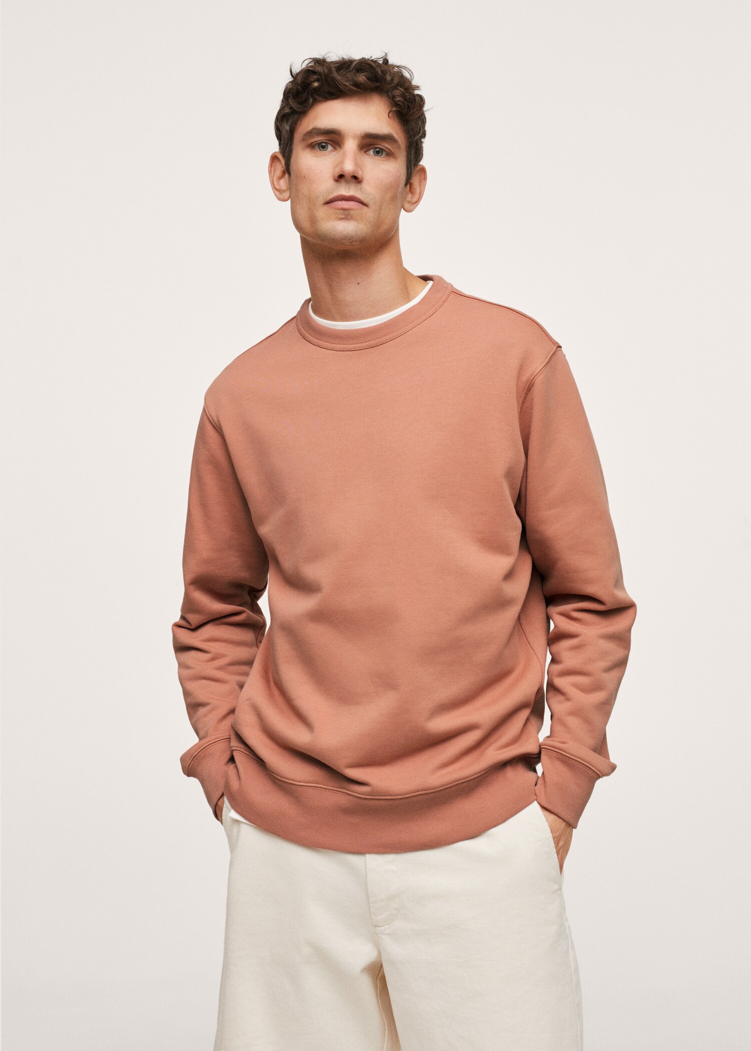 Basic-Baumwollsweatshirt - Mittlere Ansicht