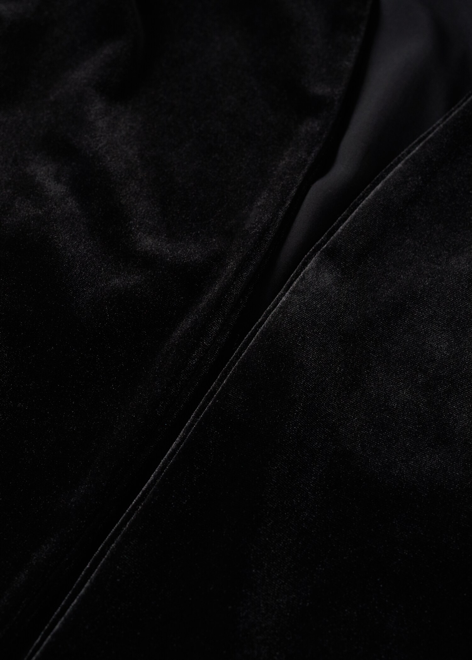 Velvet jacket - Details of the article 8