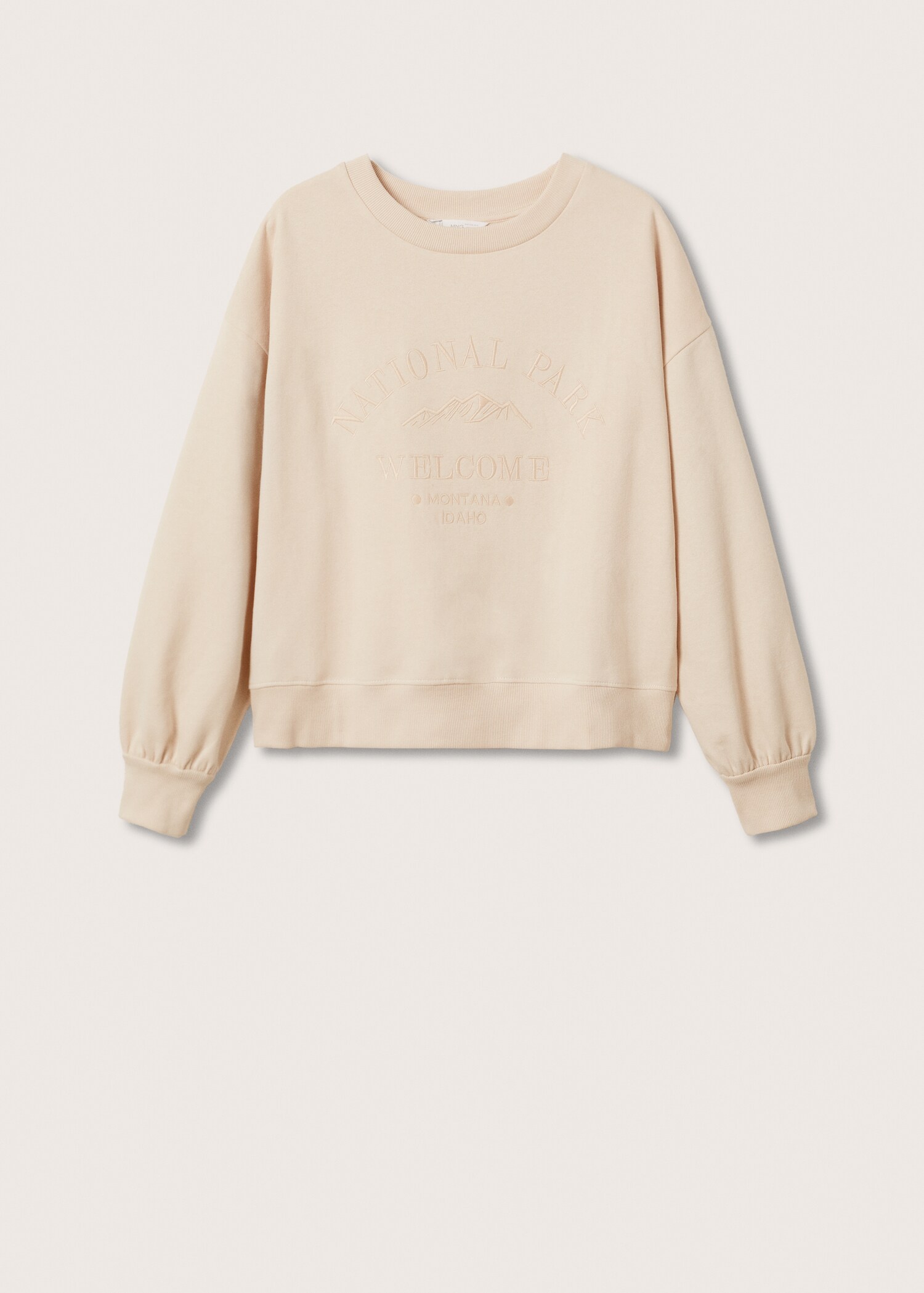 Embroidered message sweatshirt - Article without model