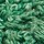 Colour Green selected