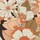 Farbe Orange