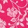 Color Fucsia seleccionado