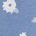 Colour Blue