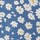 Kleur Blauw