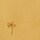 Colour Mustard selected