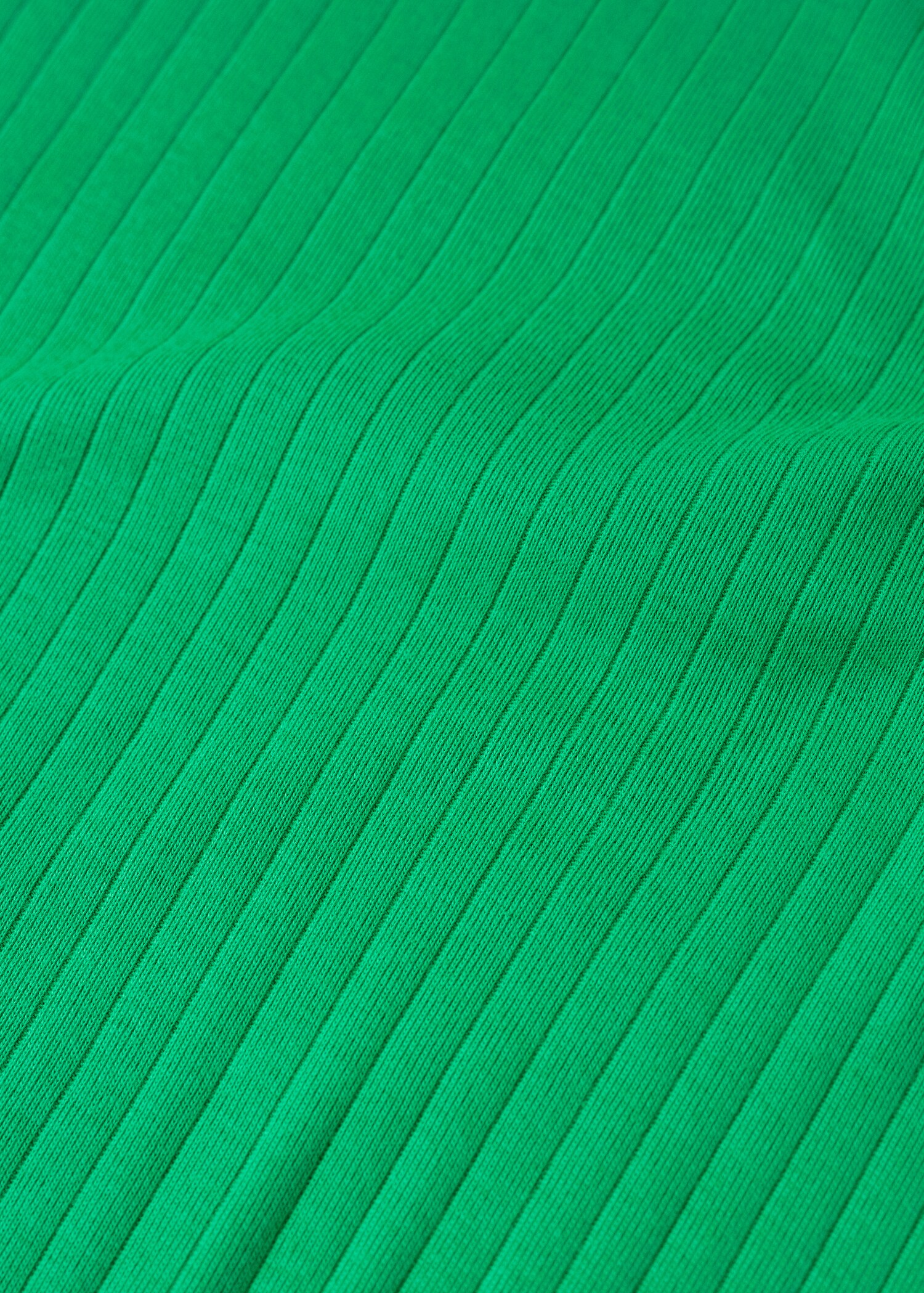 Camiseta algodón canalé - Detalle del artículo 8
