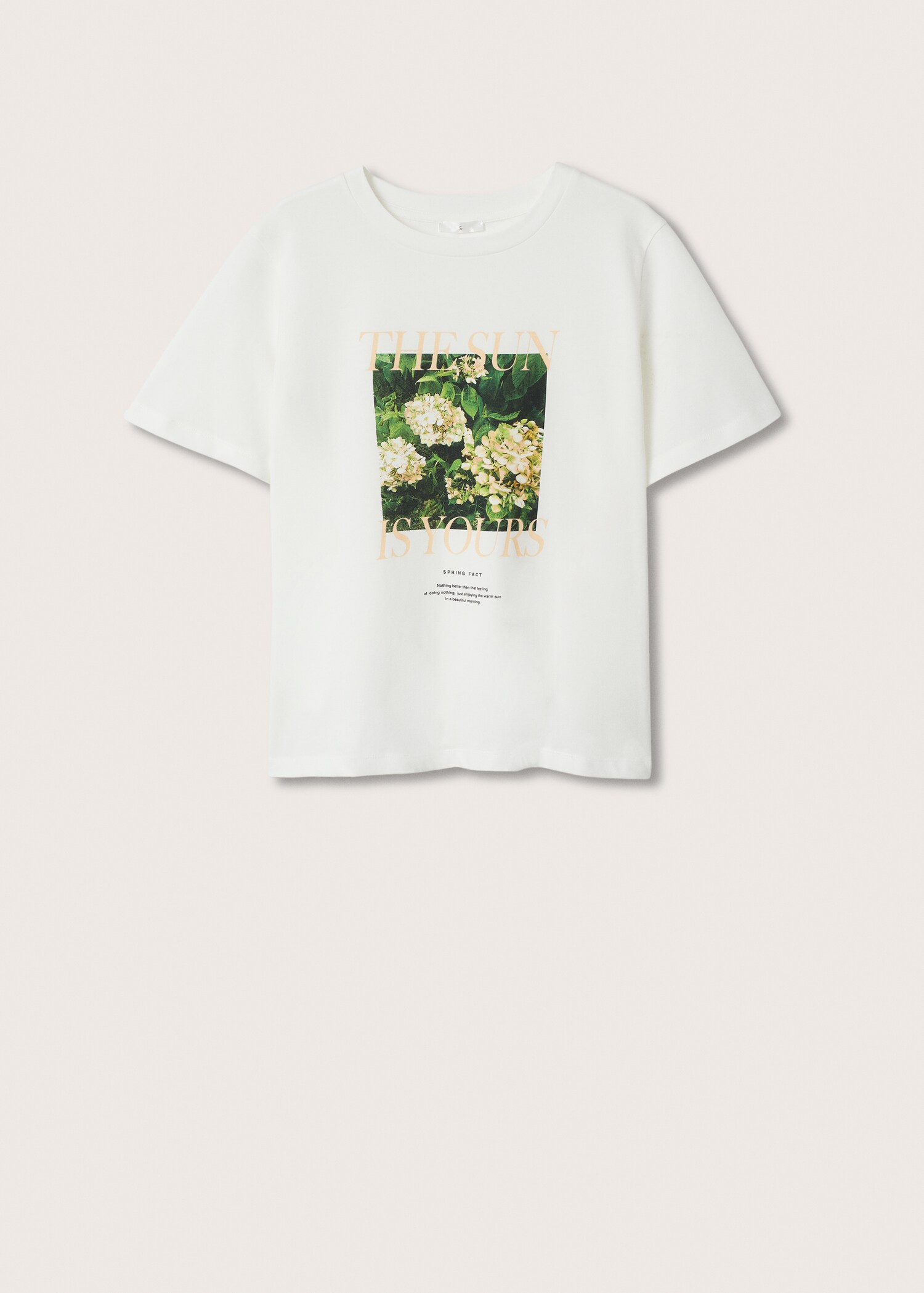 Camiseta estampada algodón - Artículo sin modelo