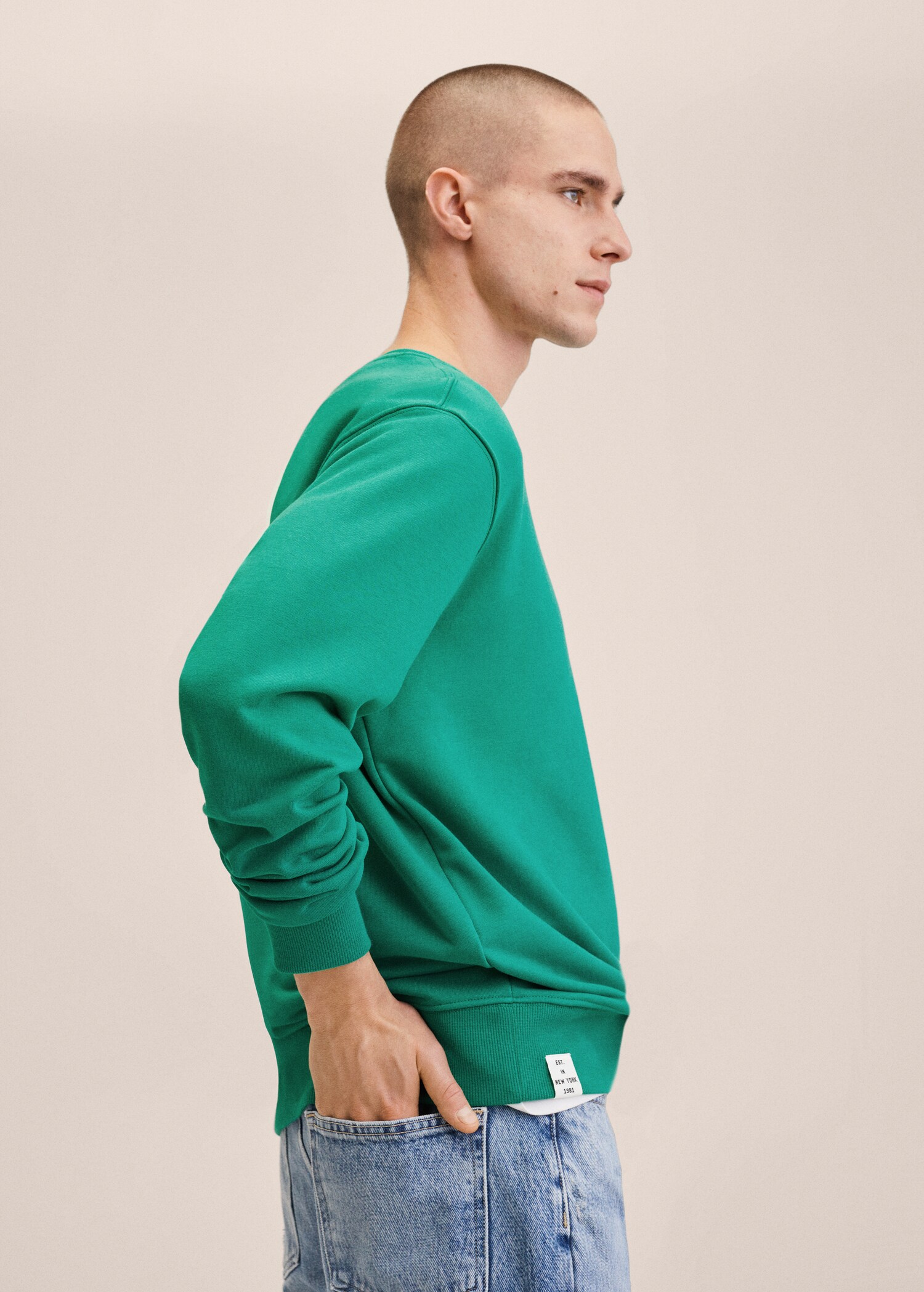 Patch cotton sweatshirt - Details of the article 2