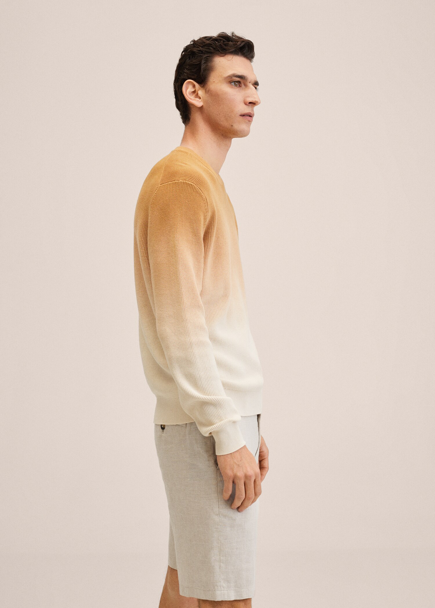 100% linen shorts - Details of the article 2