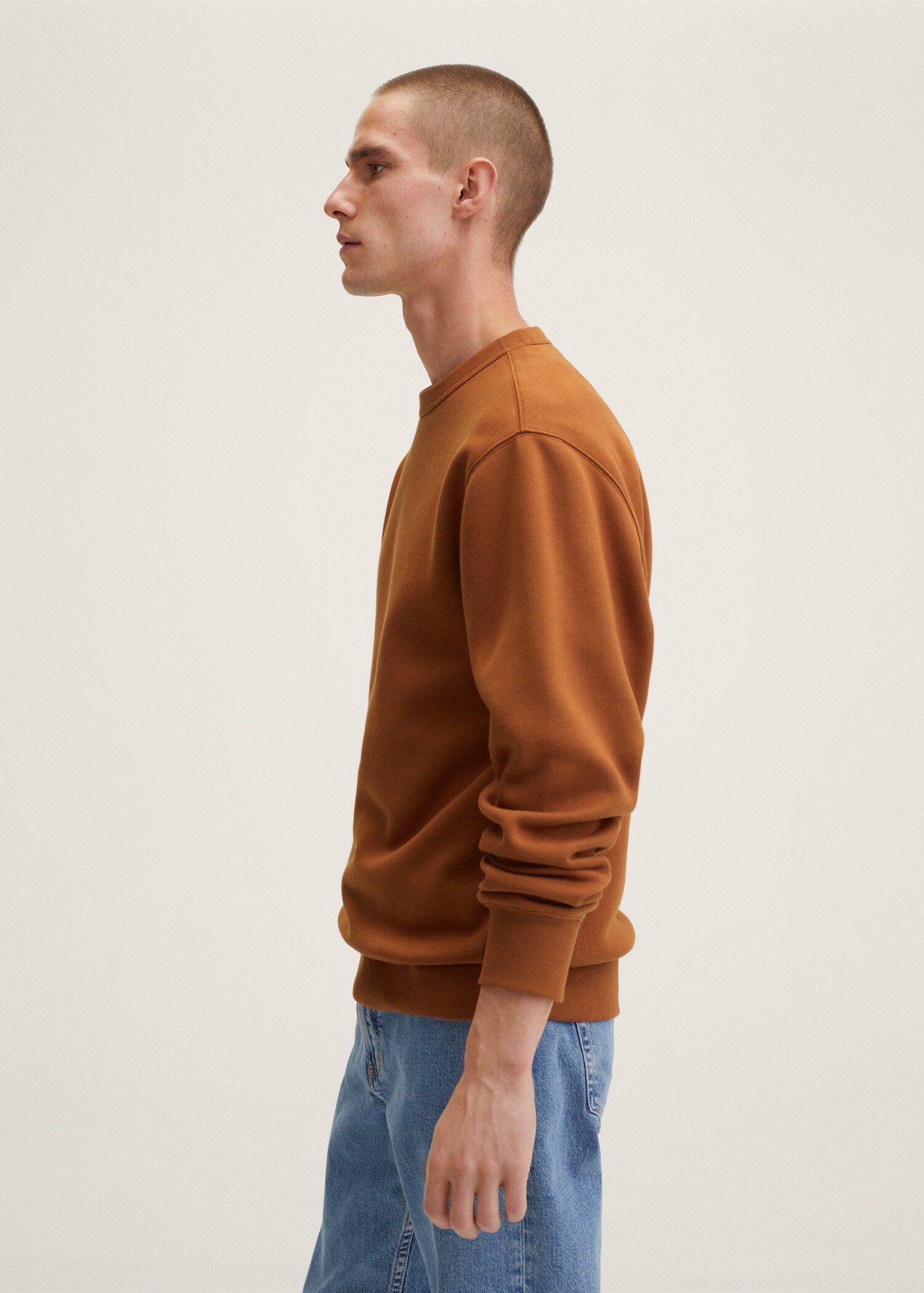 Plush cotton sweatshirt - Details of the article 2