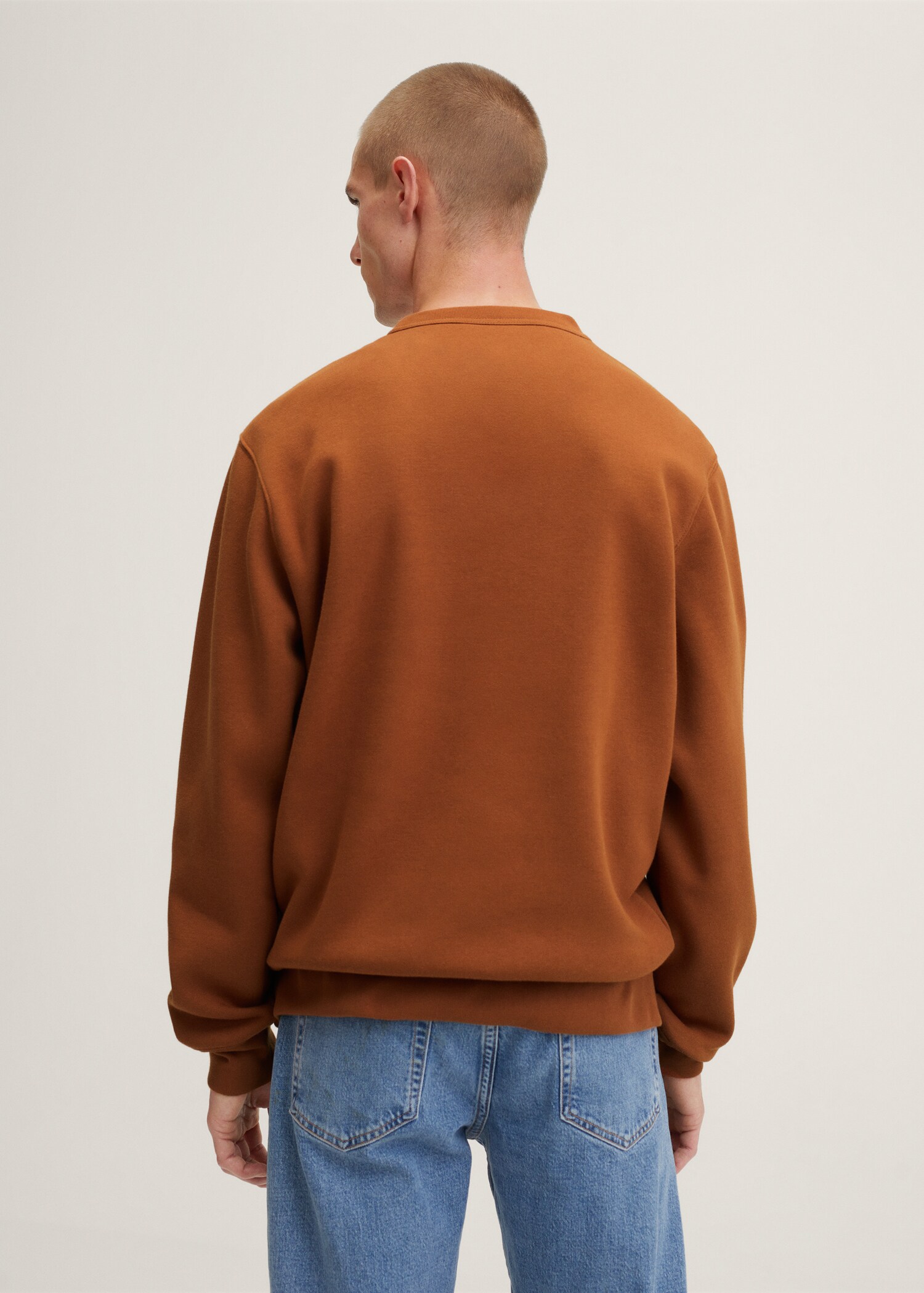 Plush cotton sweatshirt - Reverse of the article