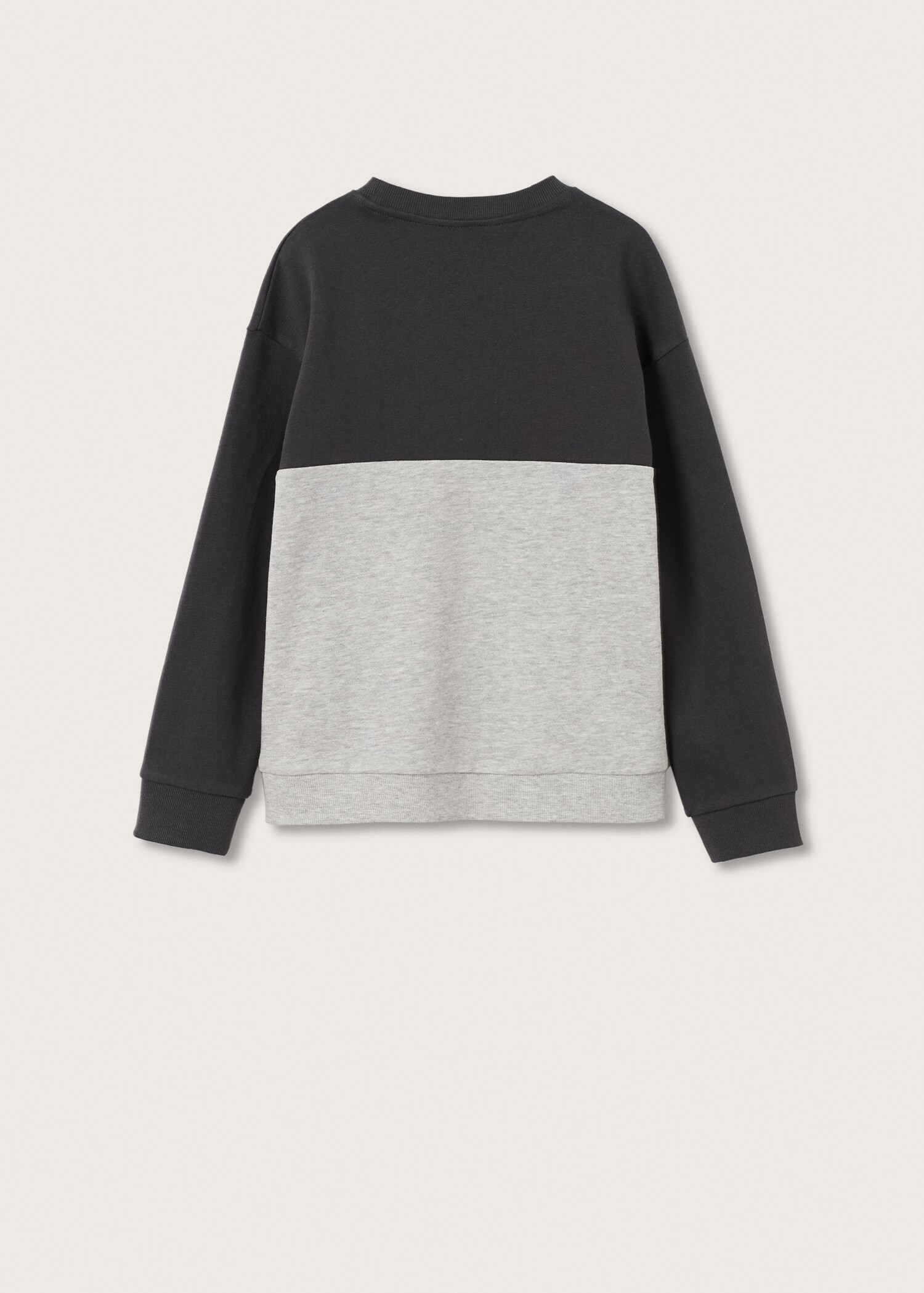 Sudadera bicolor - Reverso del artículo