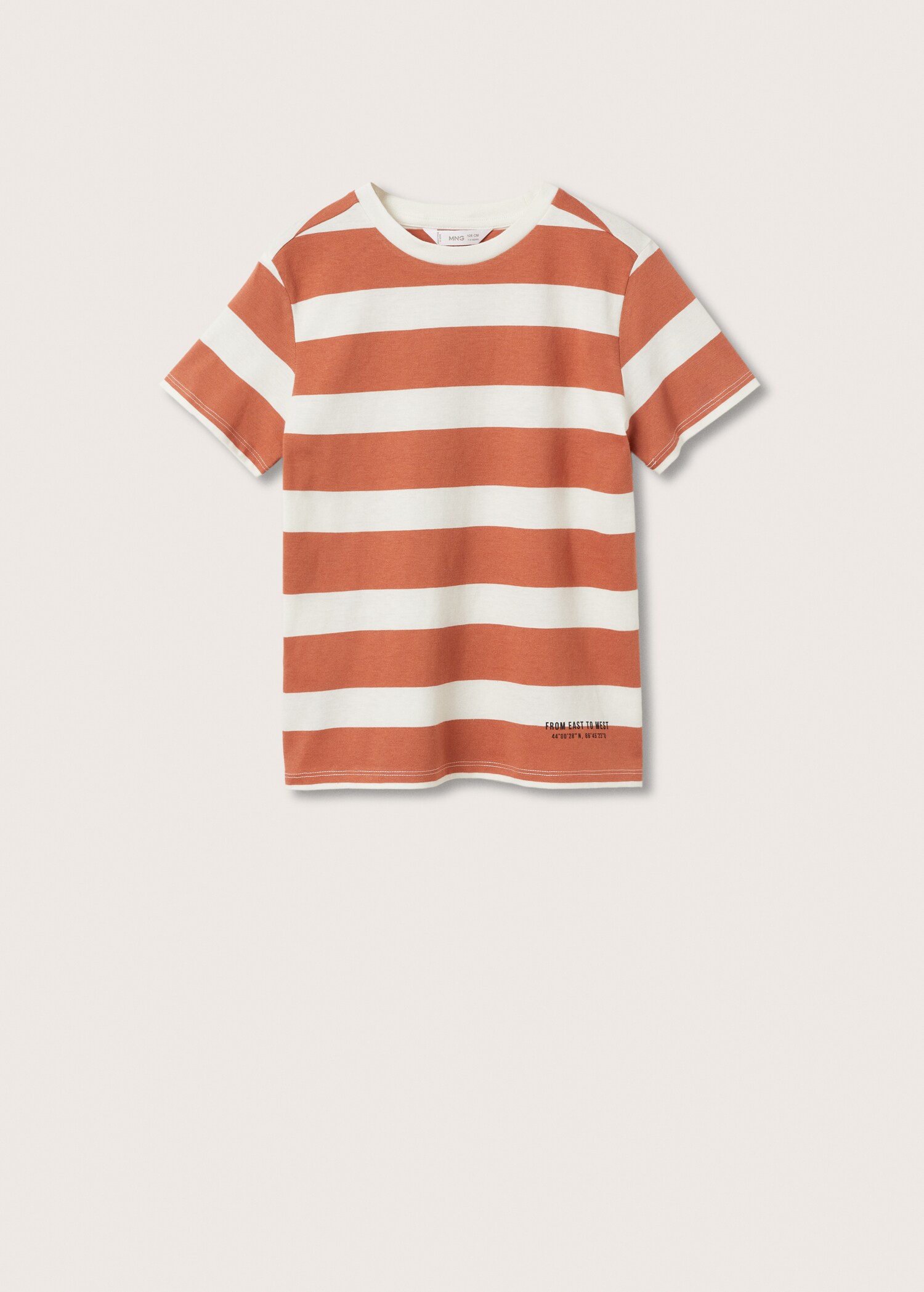 Camiseta algodón rayas - Artículo sin modelo