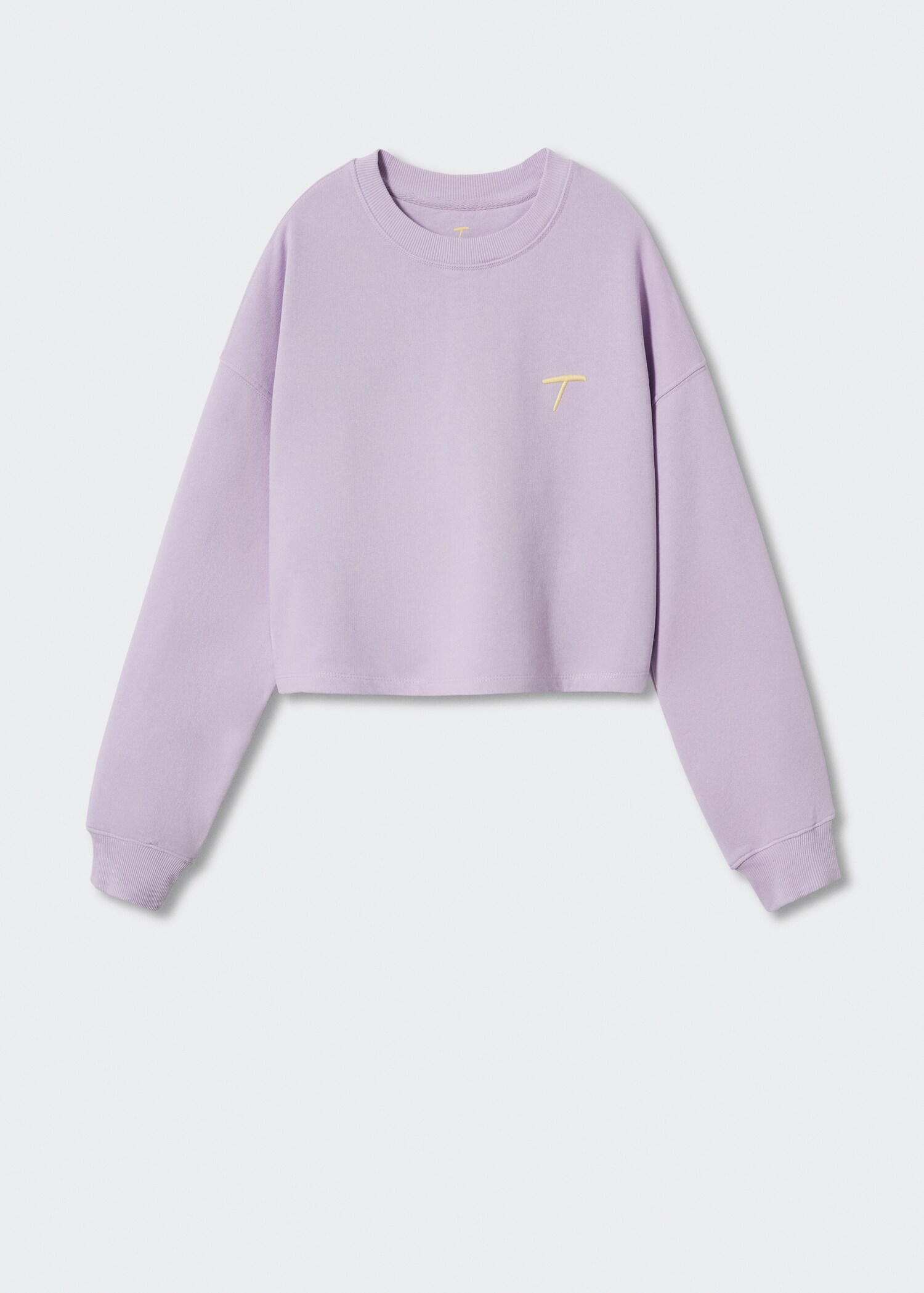 T Collection sweatshirt - Article without model