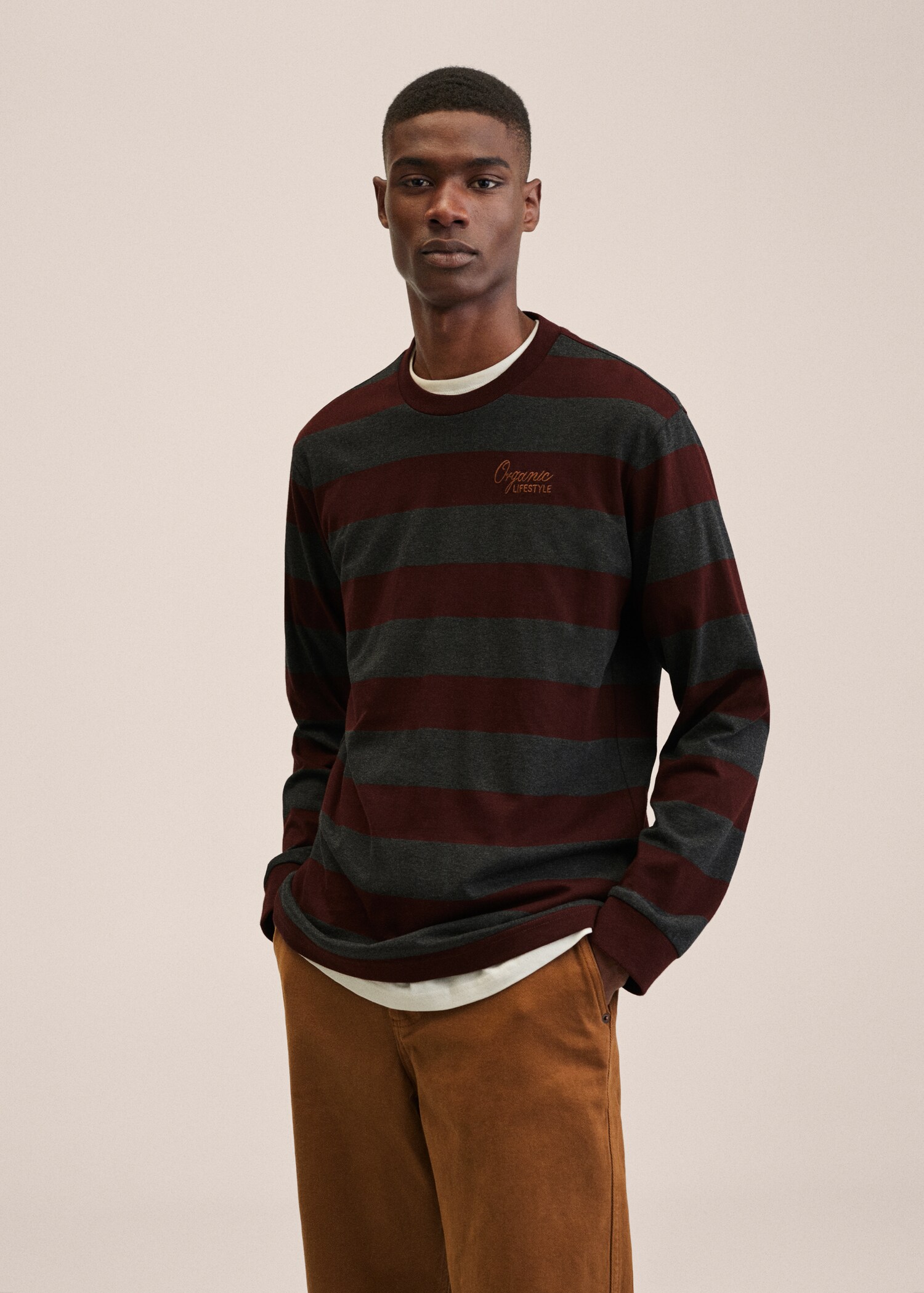 Striped long sleeves t-shirt - Medium plane