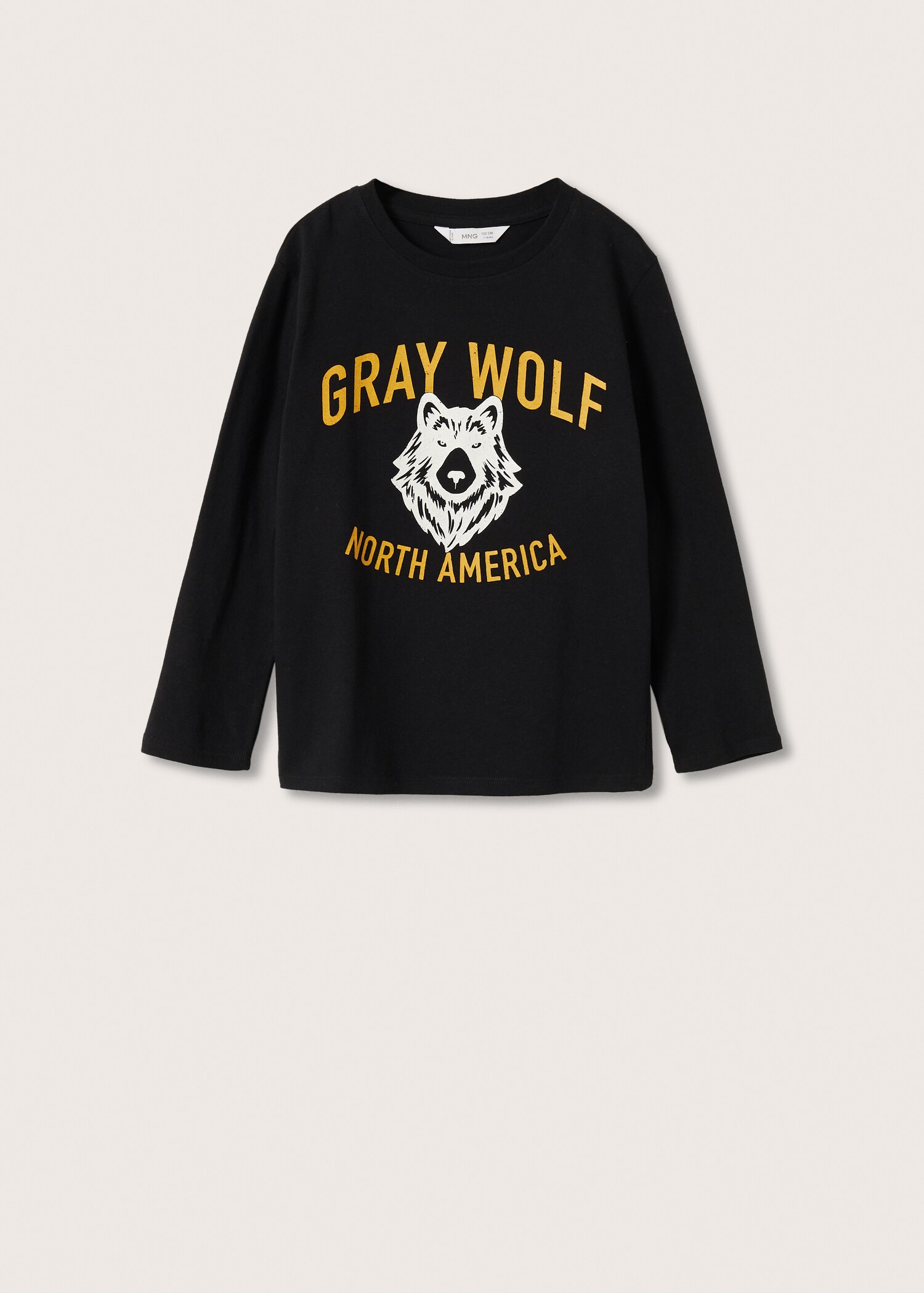 Camiseta manga larga estampada - Artículo sin modelo