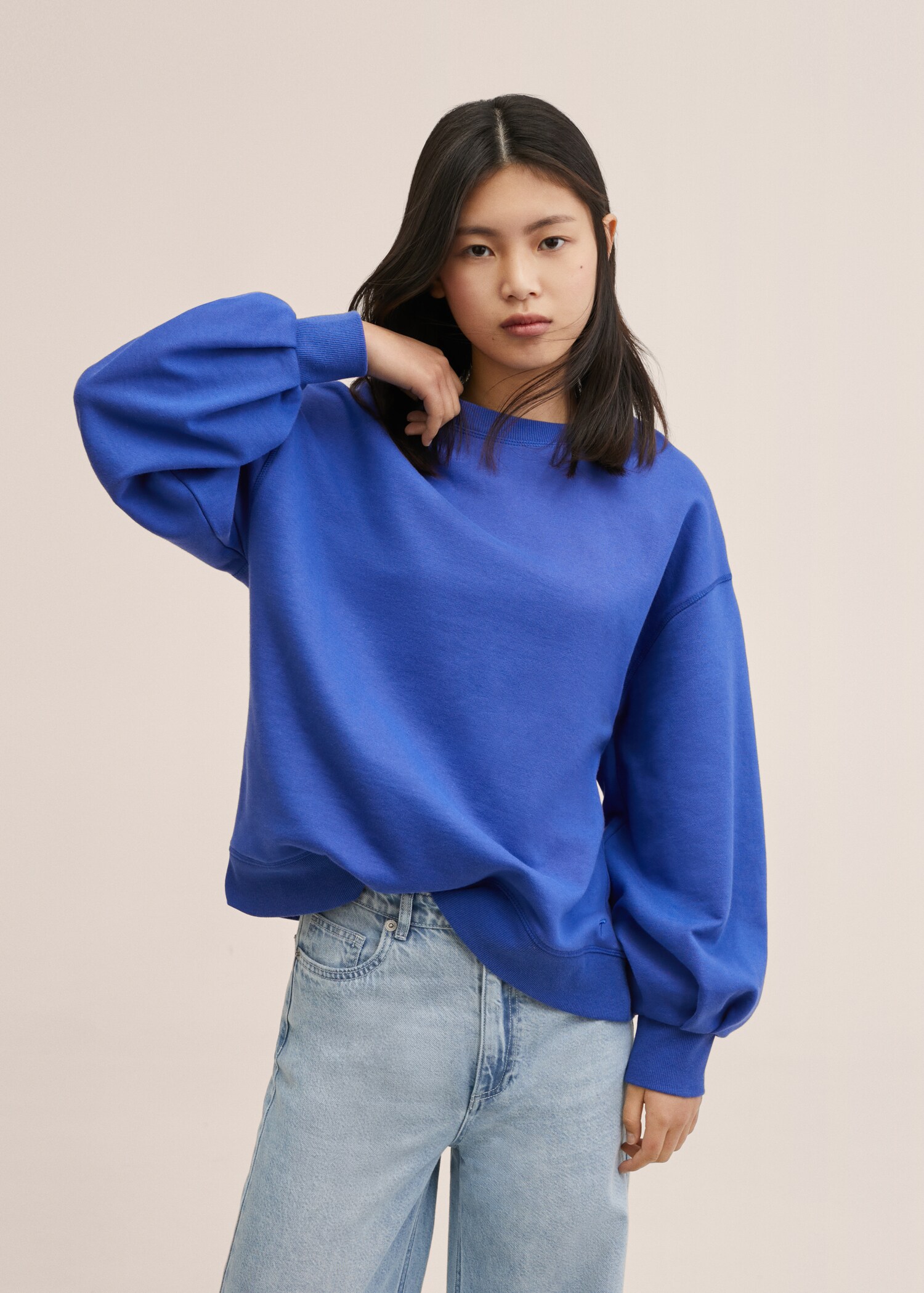 Oversize cotton sweatshirt - Medium plane