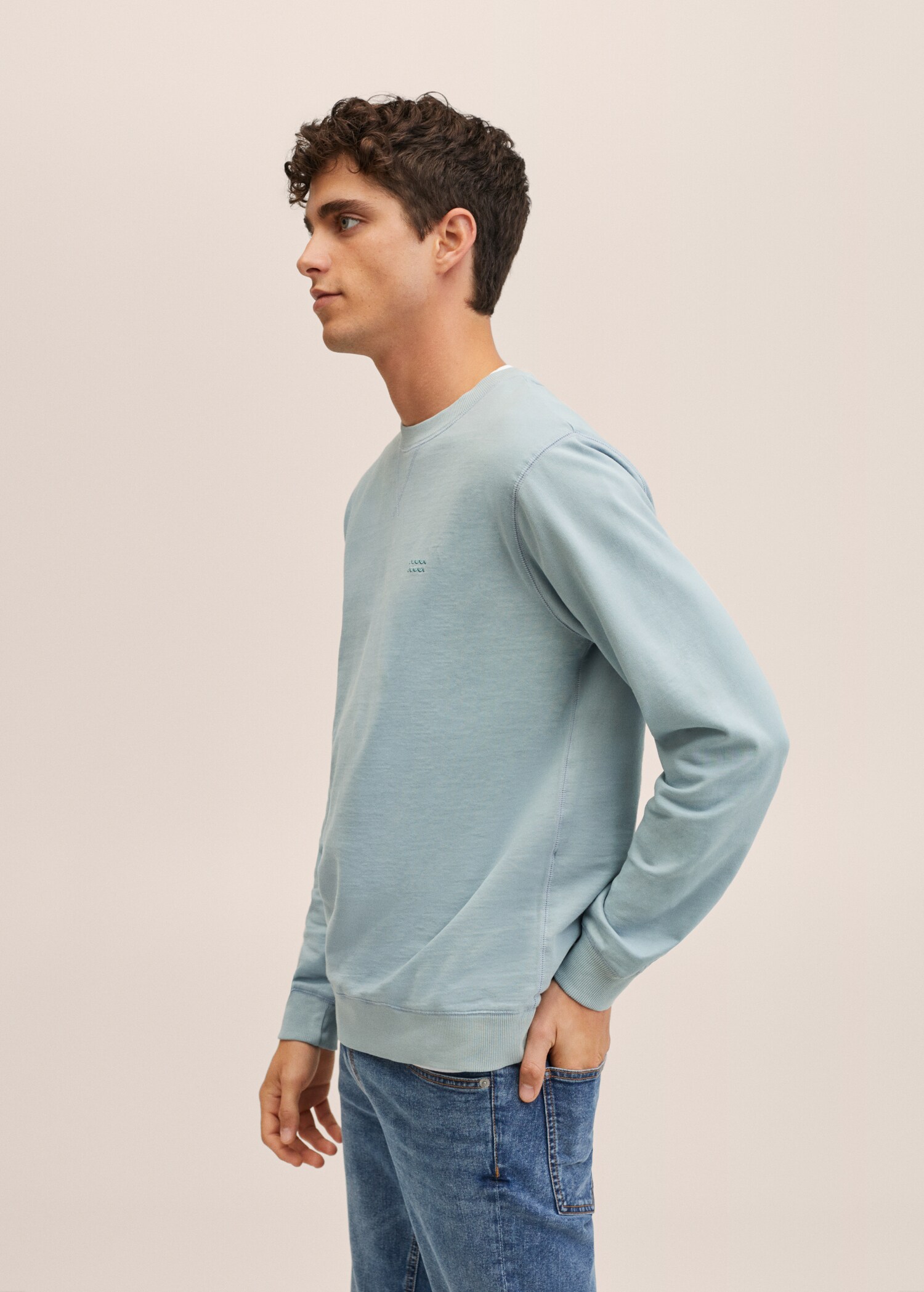 Sudadera 100% algodón - Detalle del artículo 1