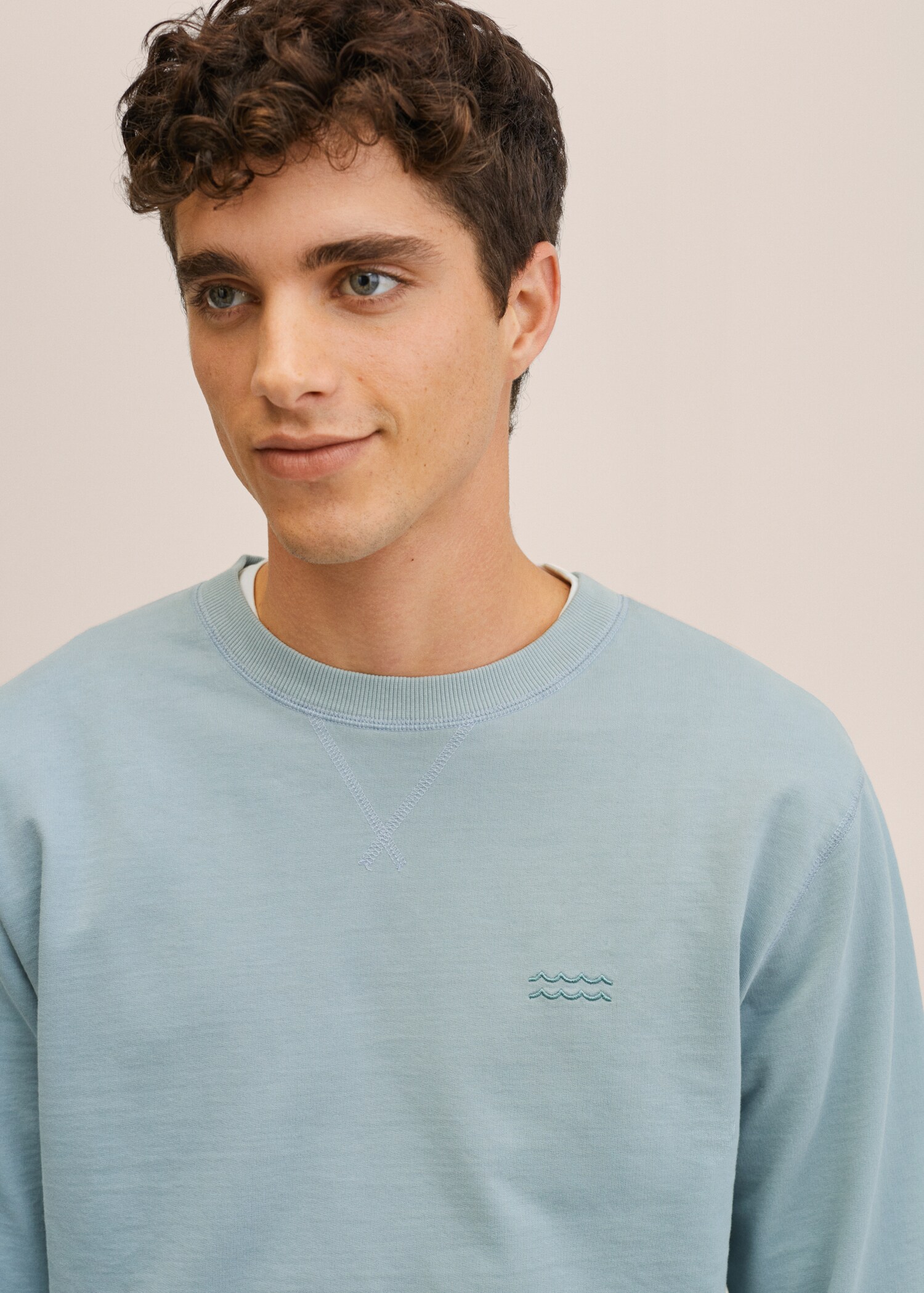 Sudadera 100% algodón - Detalle del artículo 2