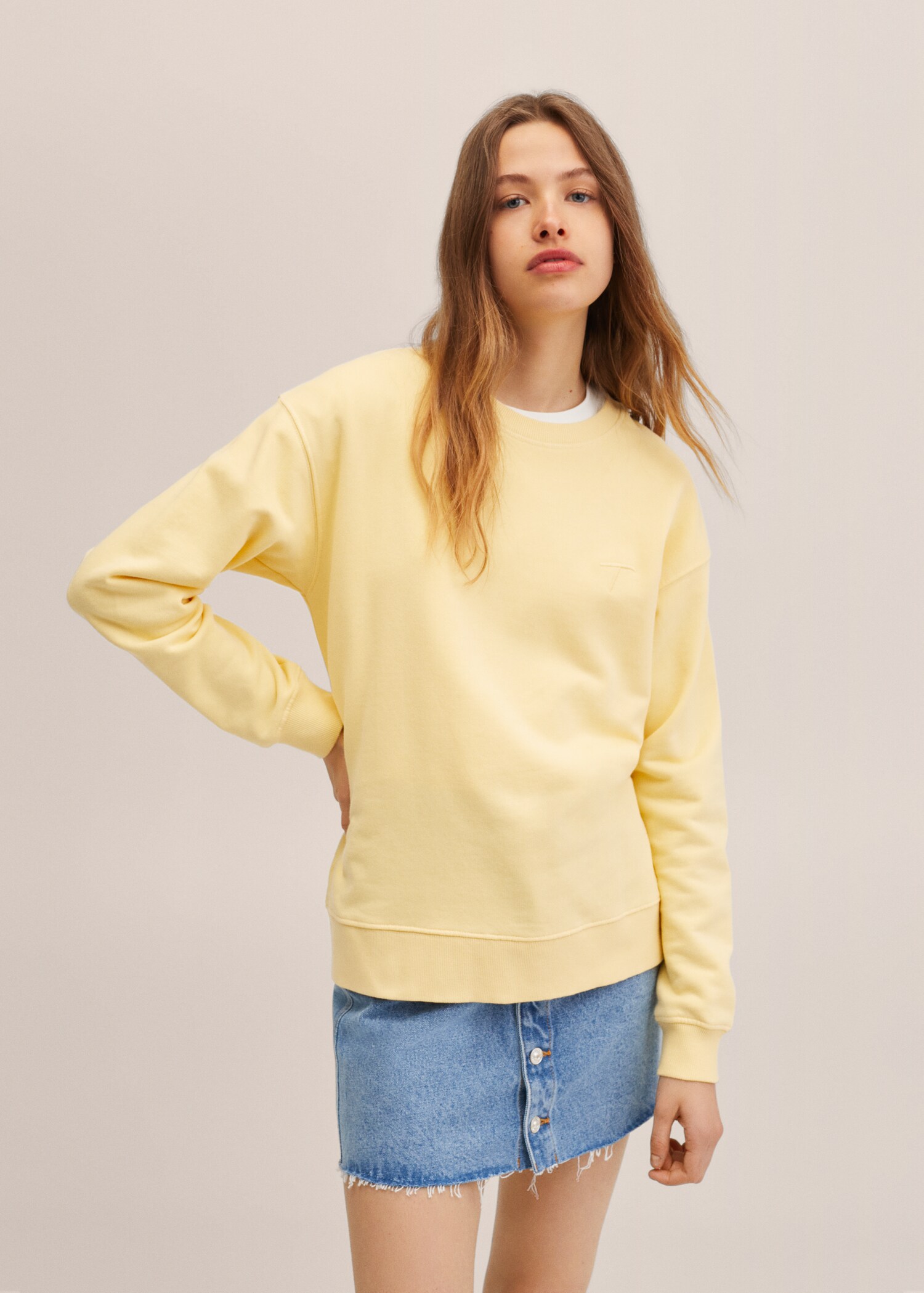 T Collection sweatshirt - Medium plane
