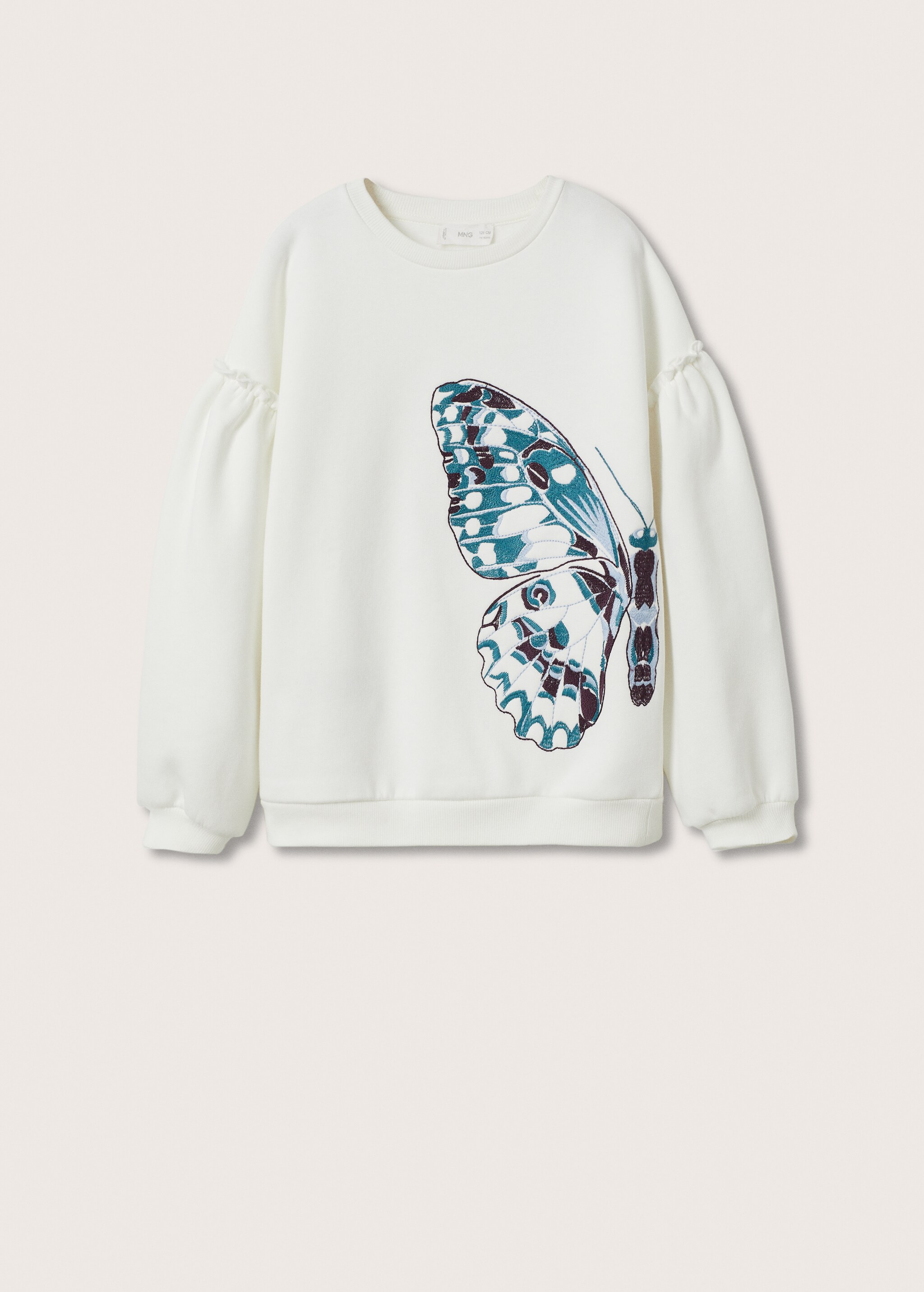 Embroidered cotton sweatshirt - Article without model