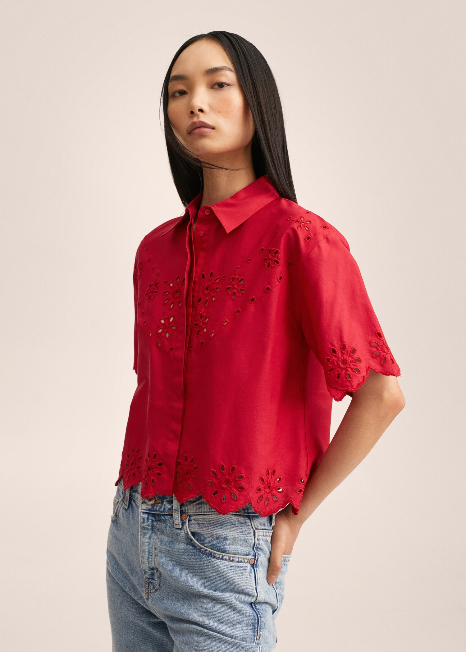 Camisa algodón bordada - Plano medio