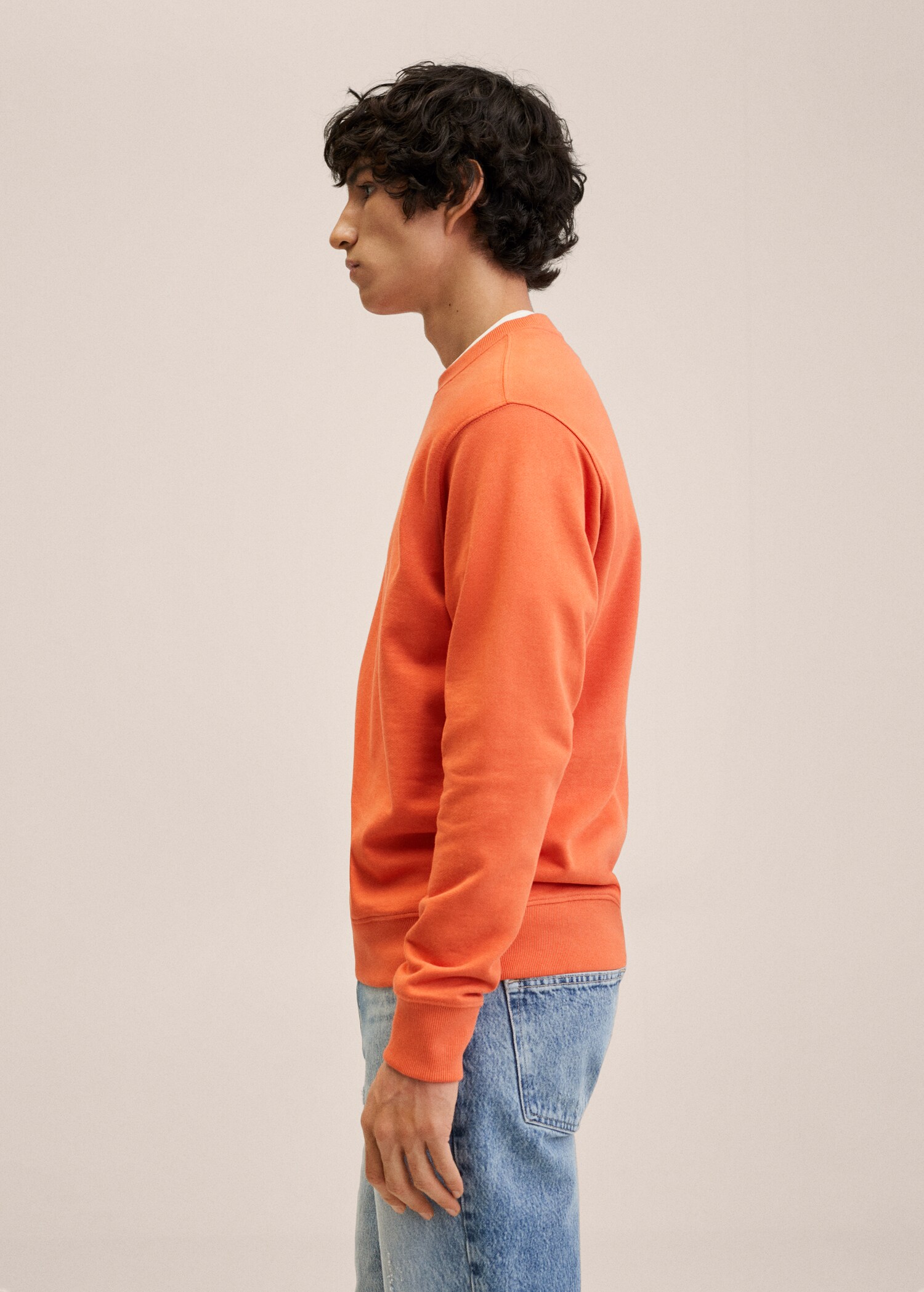 Sudadera básica algodón - Detalle del artículo 2