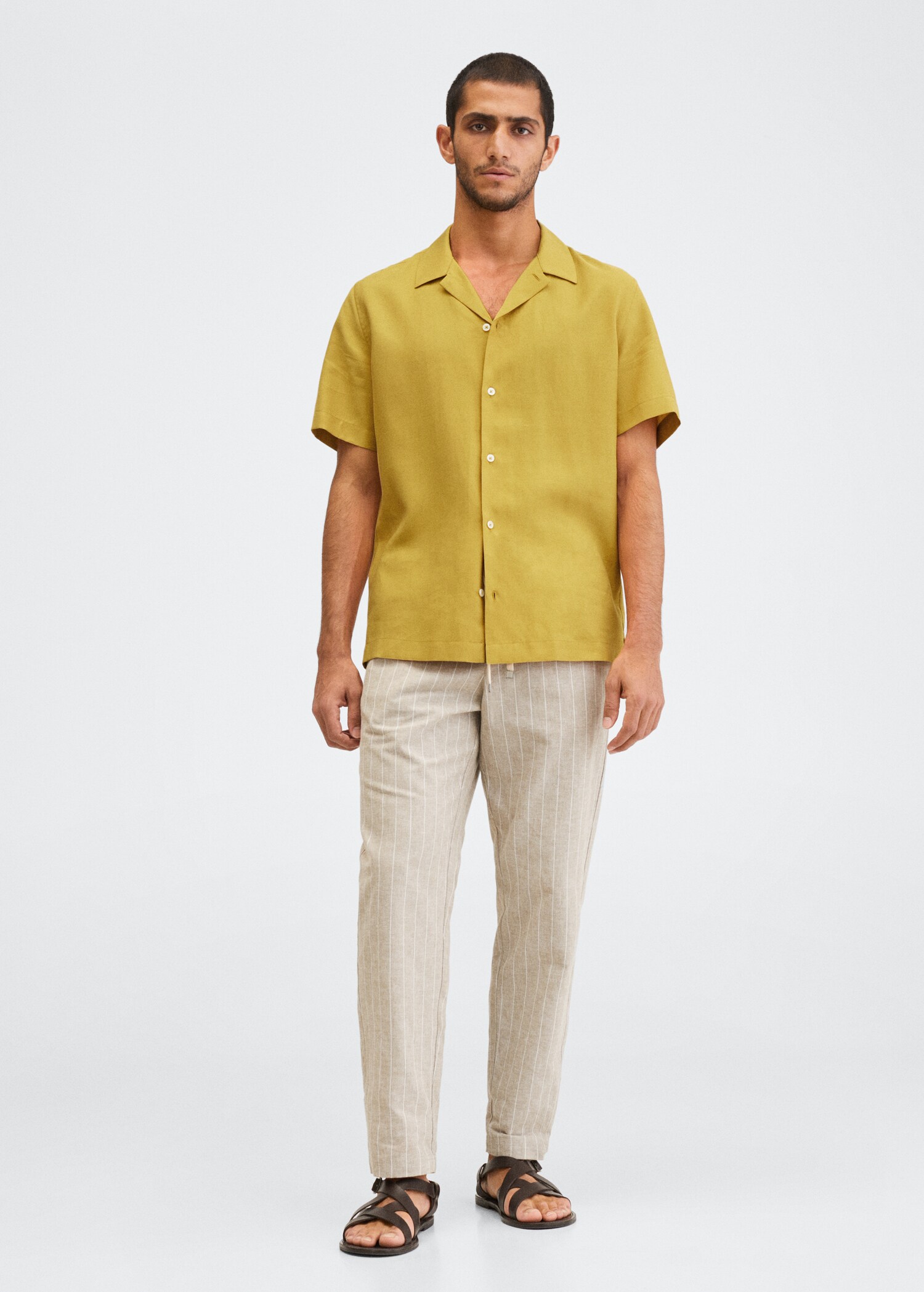 Regular-fit linen lyocell shirt - General plane