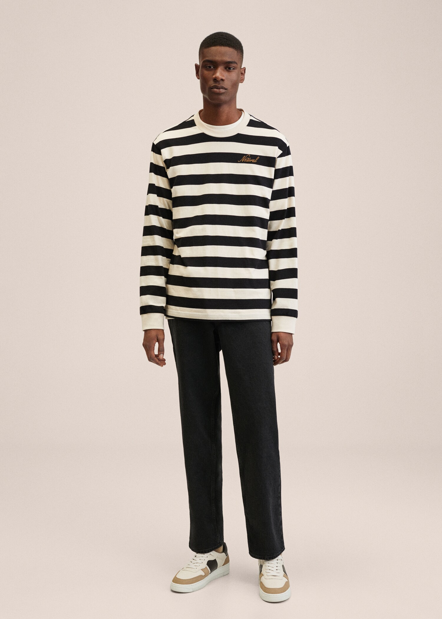 Striped long sleeves t-shirt - General plane