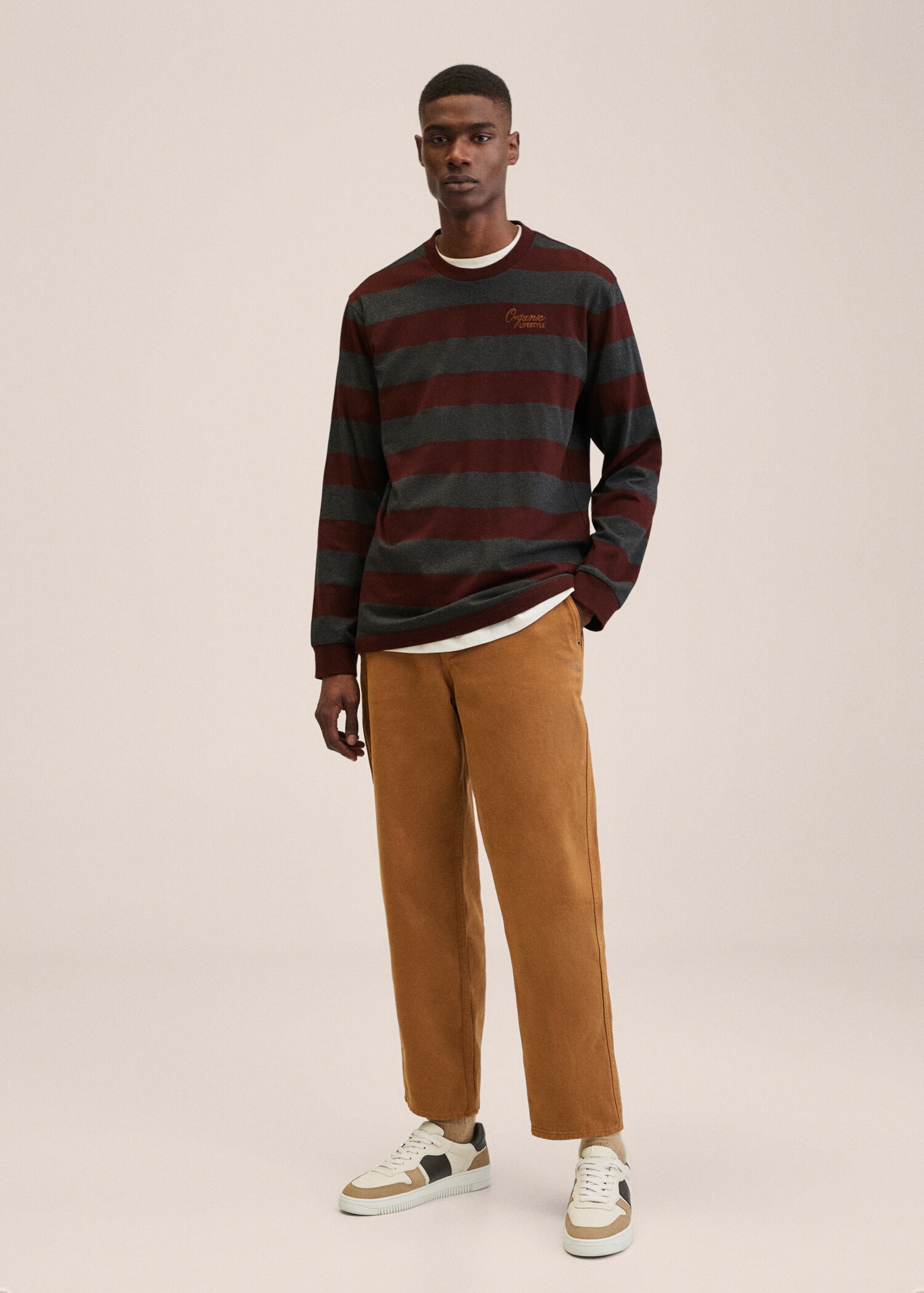 Striped long sleeves t-shirt - General plane