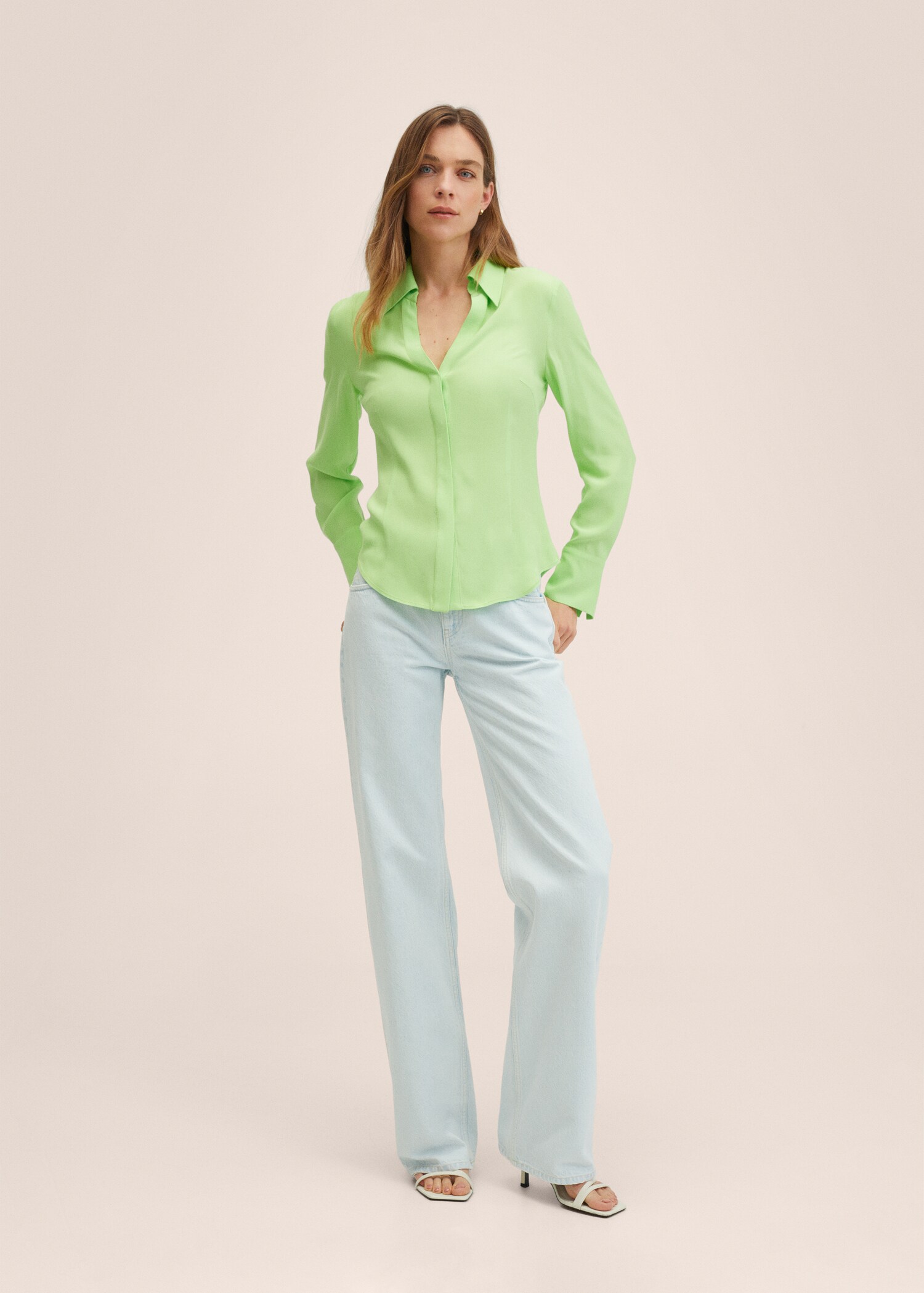 Basic fitted shirt - General plane