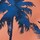 Color Salmon selected