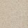Couleur Beige