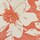 Couleur Corail sélectionnée
