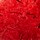 Colour Red selected
