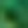 Colour Green selected