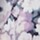 Colour Light/Pastel Purple selected