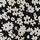 Colour Black selected