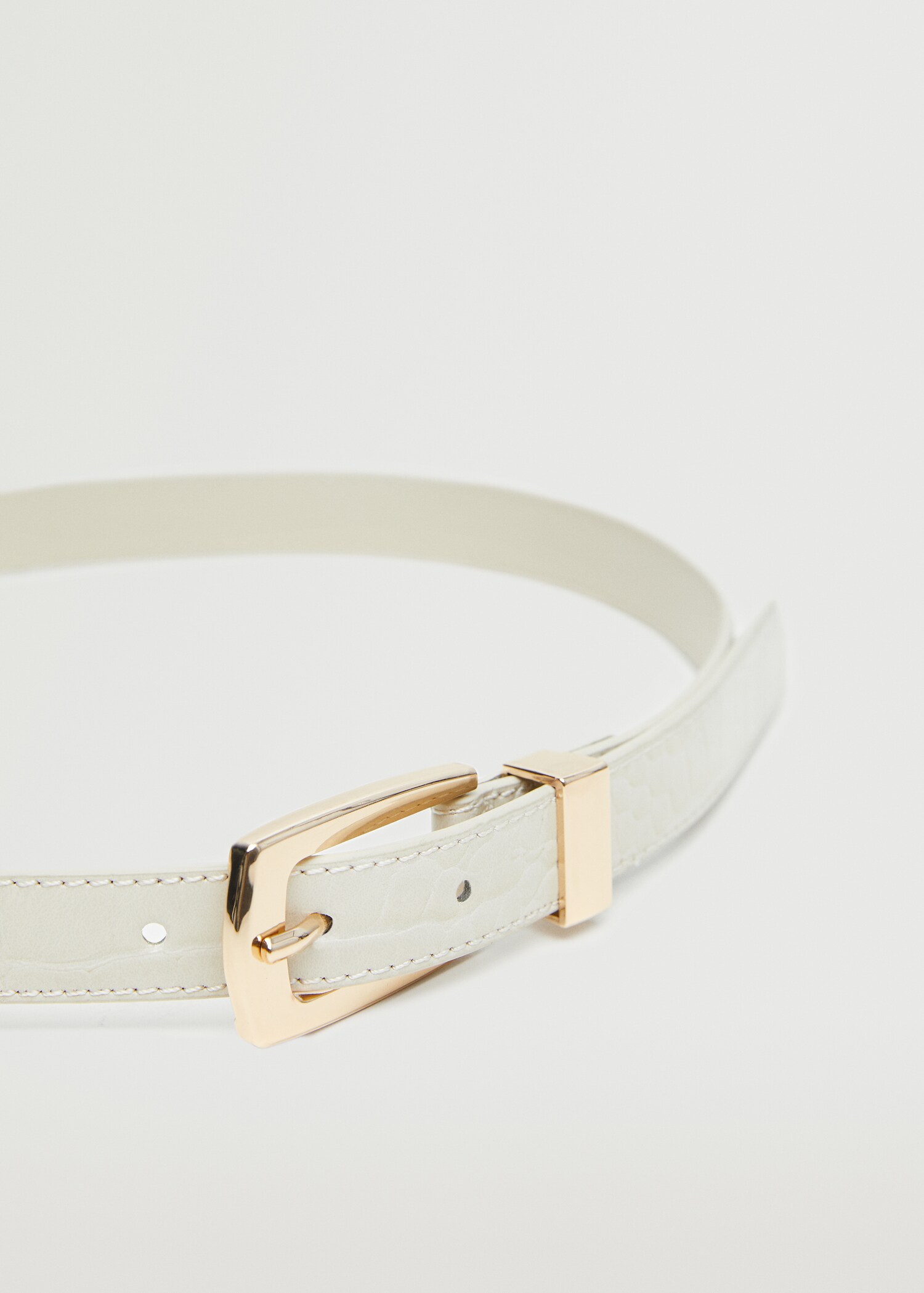 Metal buckle belt - Medium plane