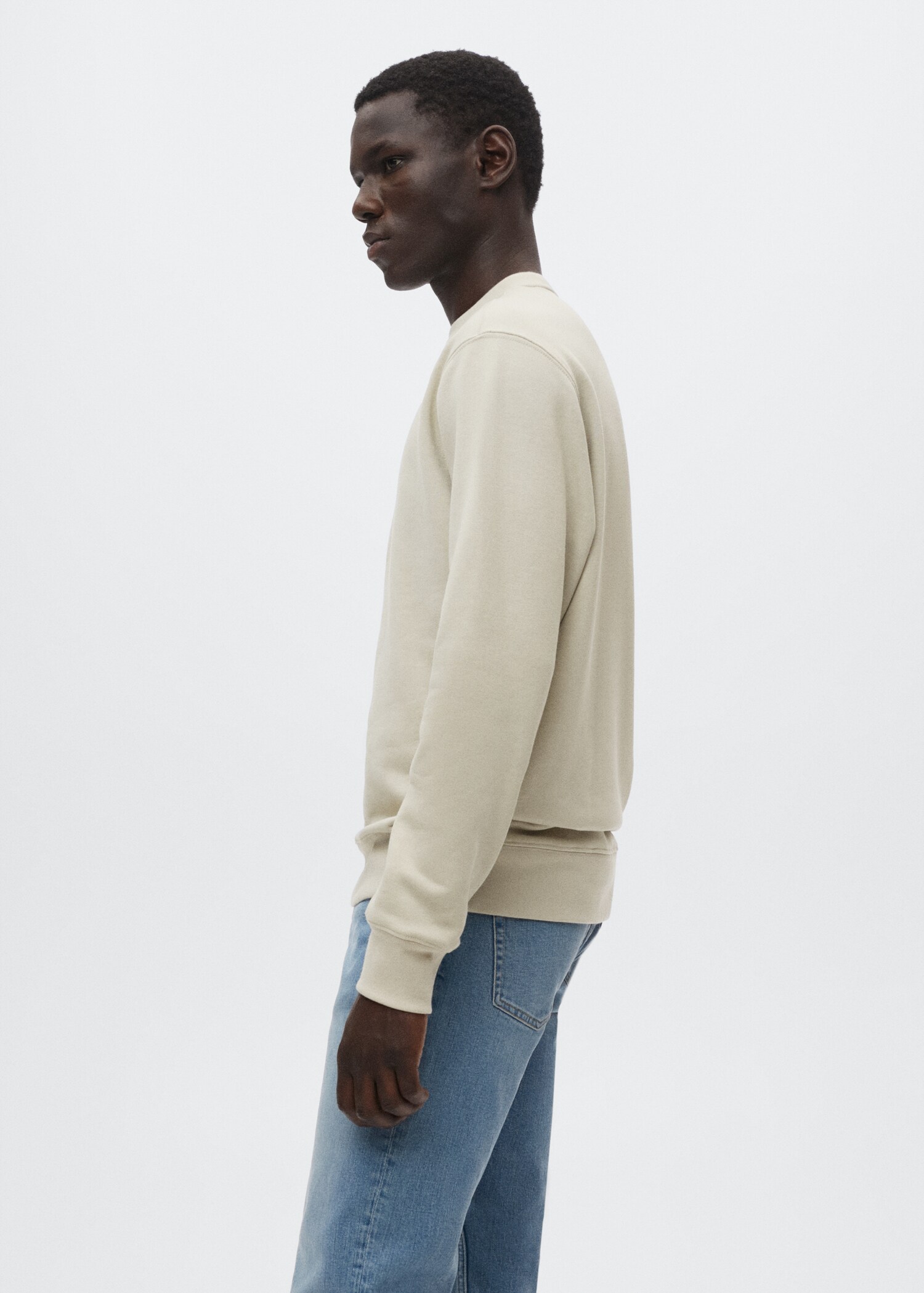 Lätt sweatshirt bomull - Detaljer om artikeln 2