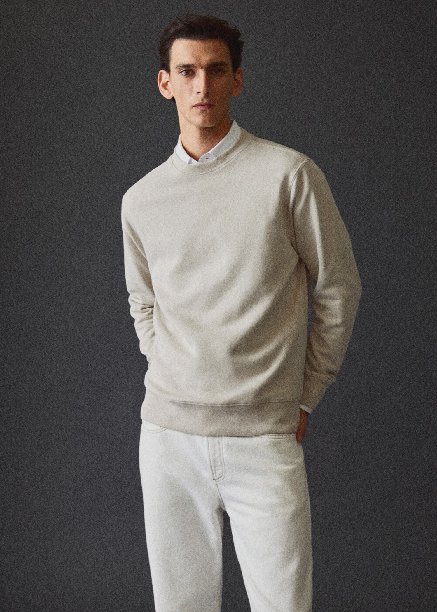 Lätt sweatshirt bomull - Detaljer om artikeln 5