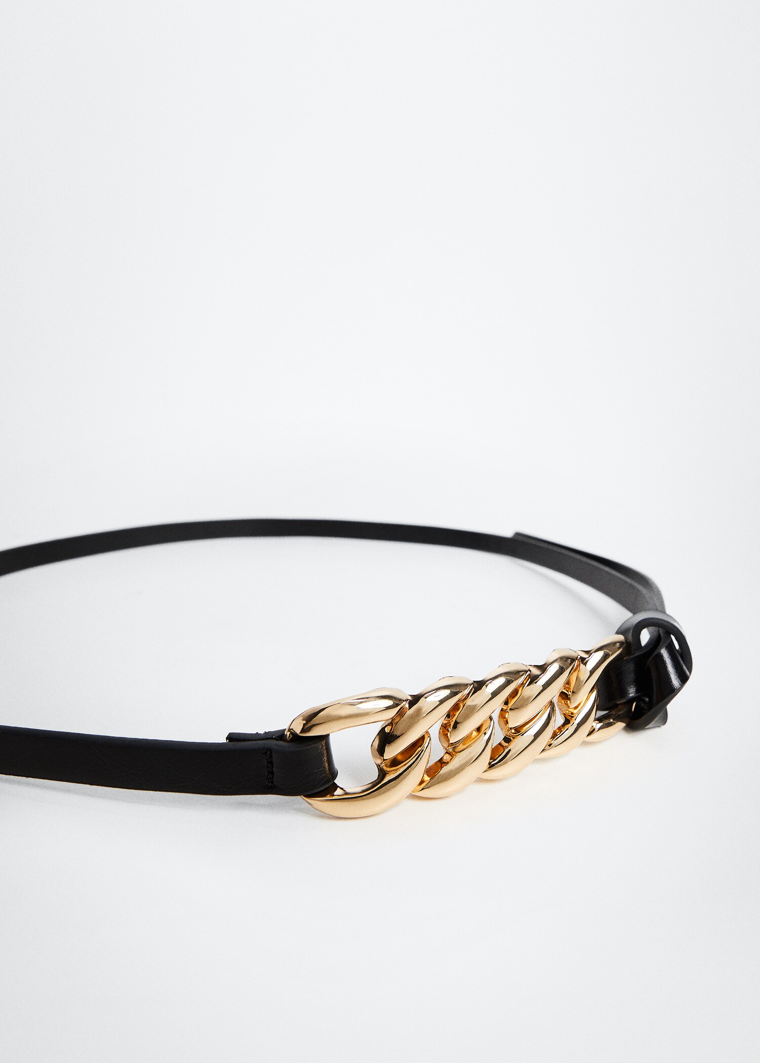 Chain belt - Details of the article 2