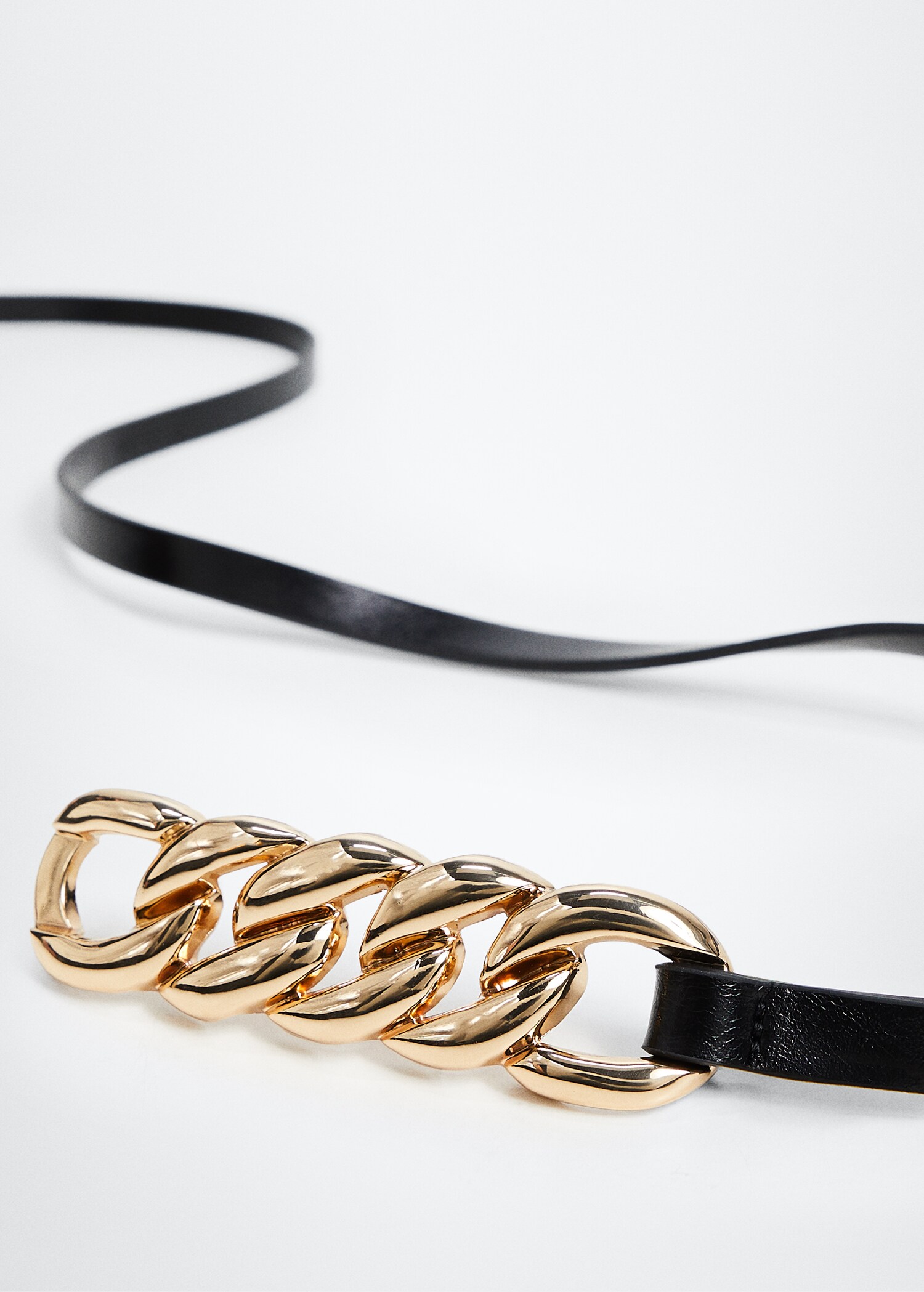 Chain belt - Details of the article 3