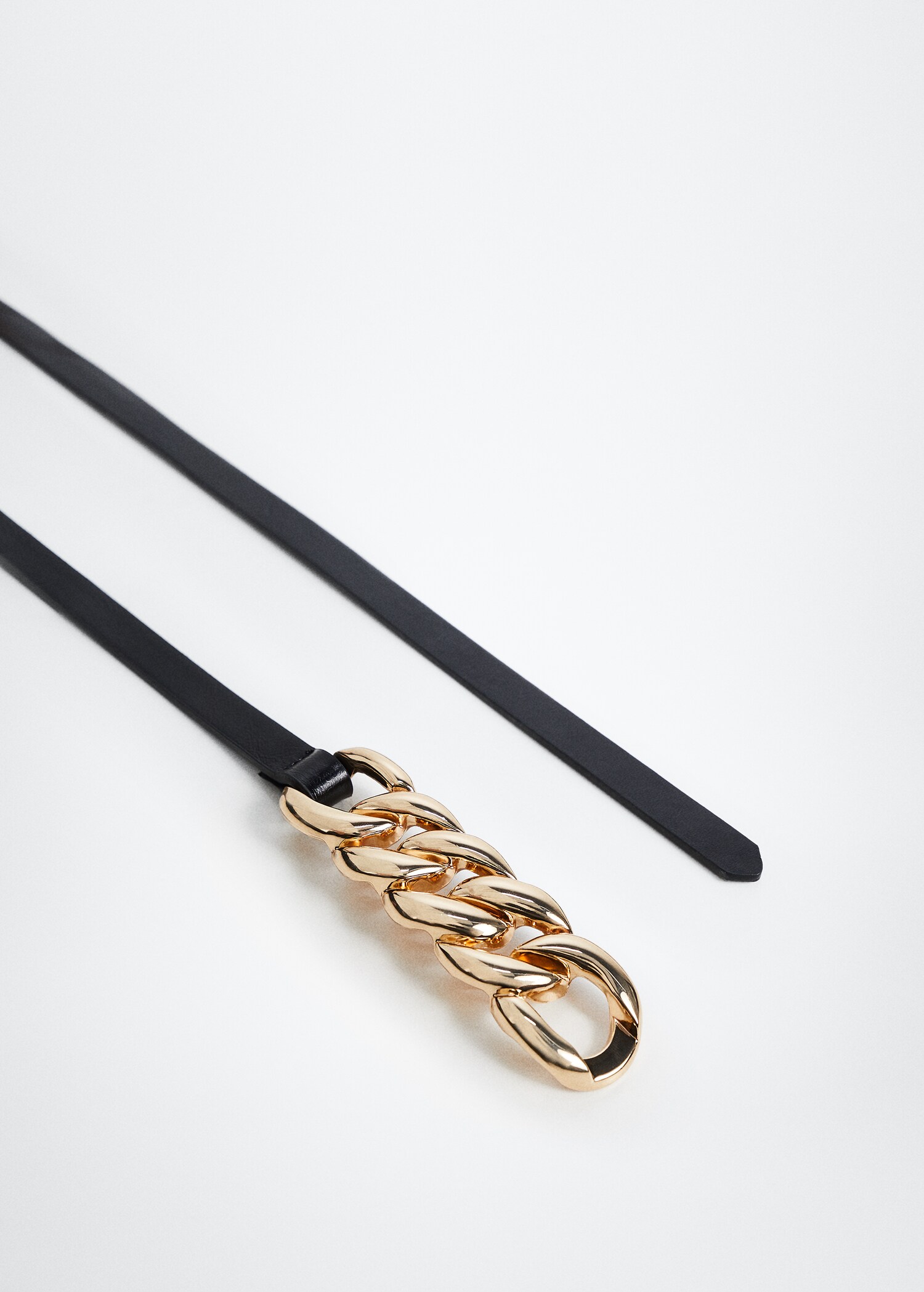 Chain belt - Details of the article 4