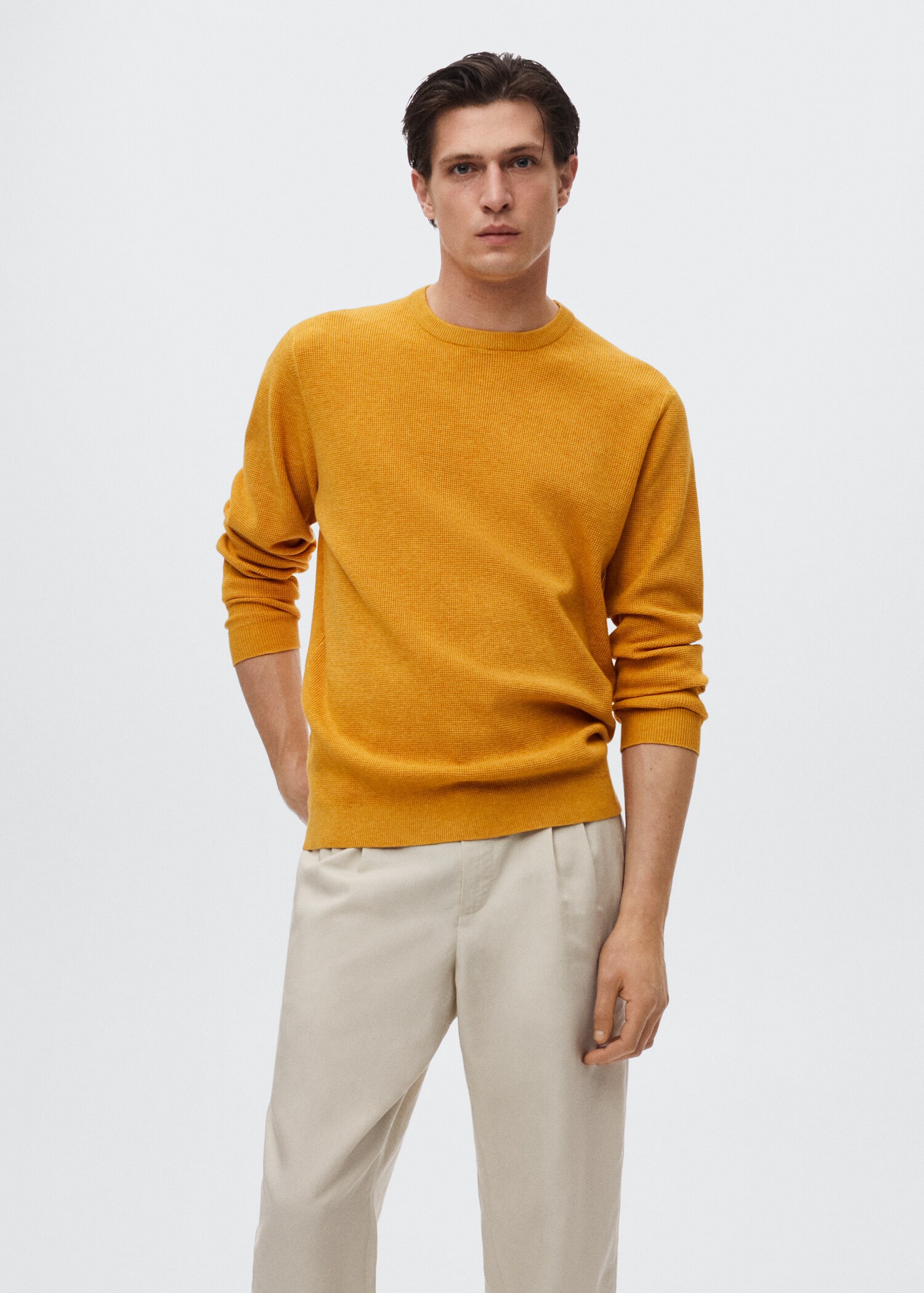 Structured cotton sweater - Medium plane